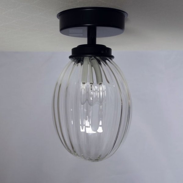 画像4: 直付け型ライト タマゴ型　クリアモール (4)