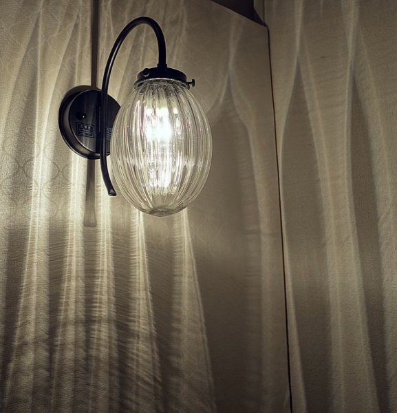 画像2: タマゴ型ブラケットライトR　クリアモール (2)