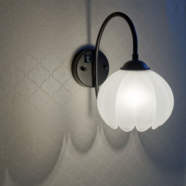 画像3: TSUBOMIブラケットライト　クリアフロスト (3)