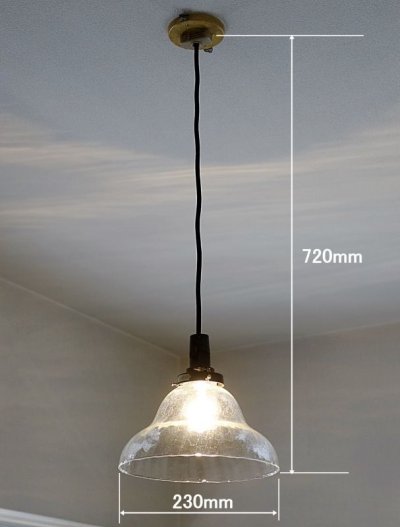画像1: トキワ型ペンダントライトクリアモール