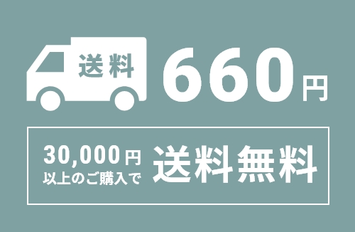 送料600円 3万円以上のご購入で送料無料