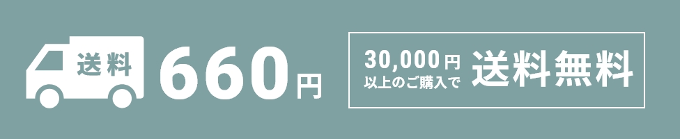 送料660円 3万円以上のご購入で送料無料